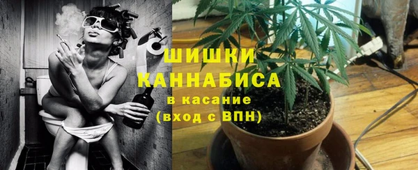 эйфоретик Майский