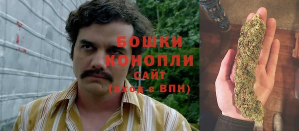 эйфоретик Майский