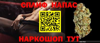 стаф Волжск
