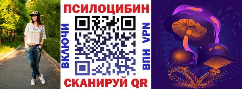 Галлюциногенные грибы Psilocybine cubensis купить наркотики сайты Полысаево