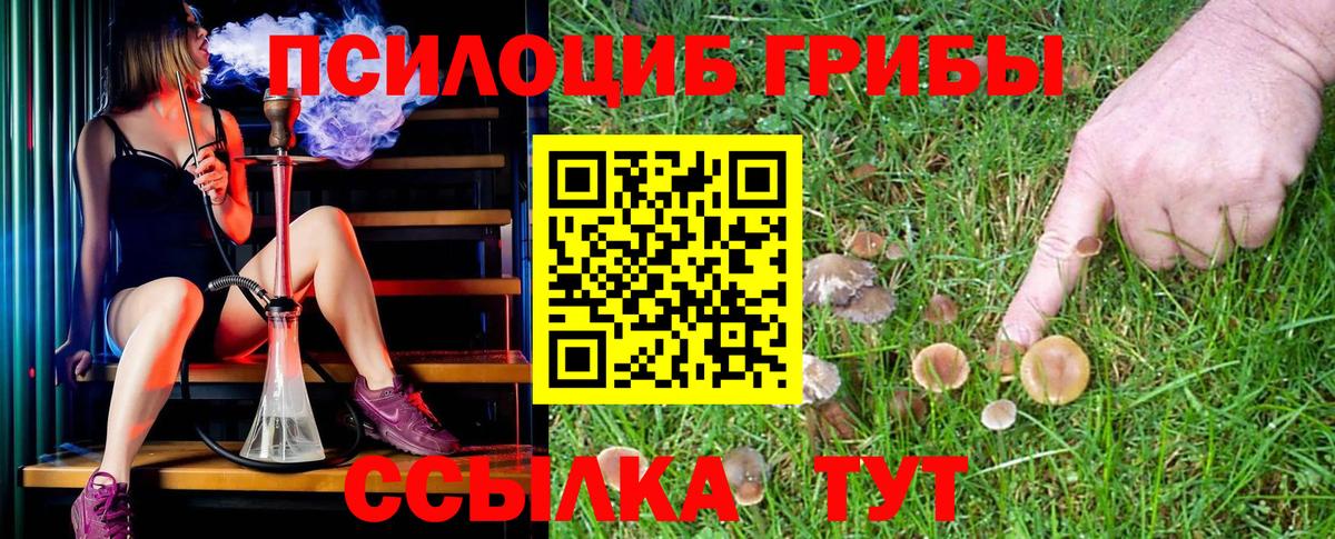 Полысаево  Галлюциногенные грибы MAGIC MUSHROOMS  Вход с VPN 
