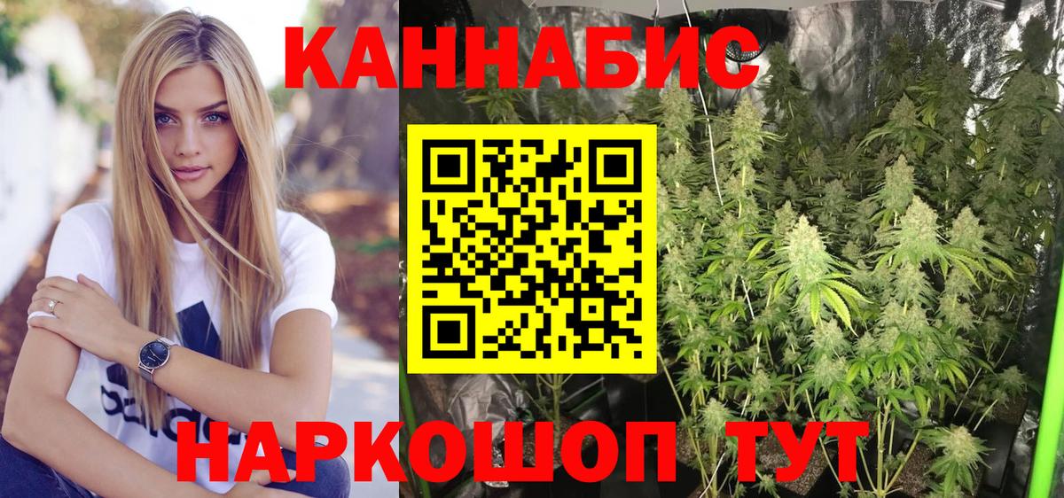 Каннабис планчик Полысаево